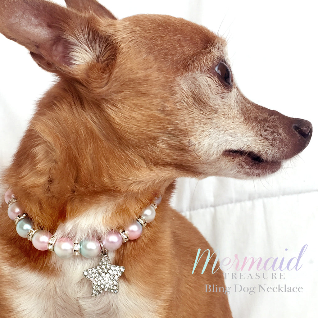 necklace collar for dogs