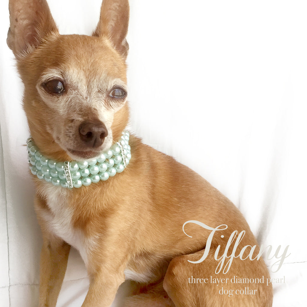 tiffany dog necklace