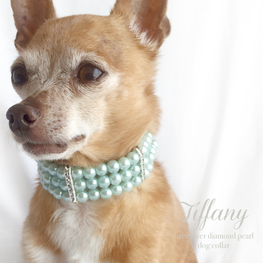 tiffany dog collar large