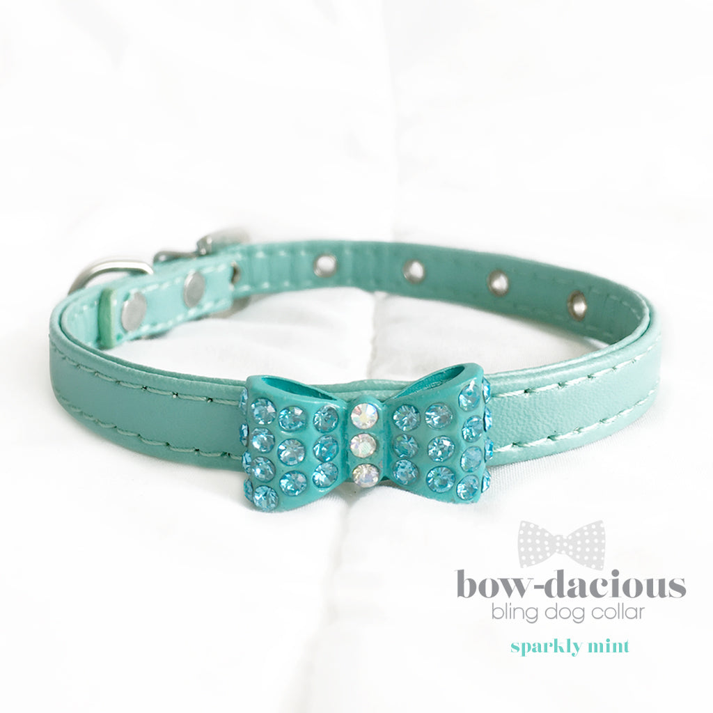 sparkly dog collar