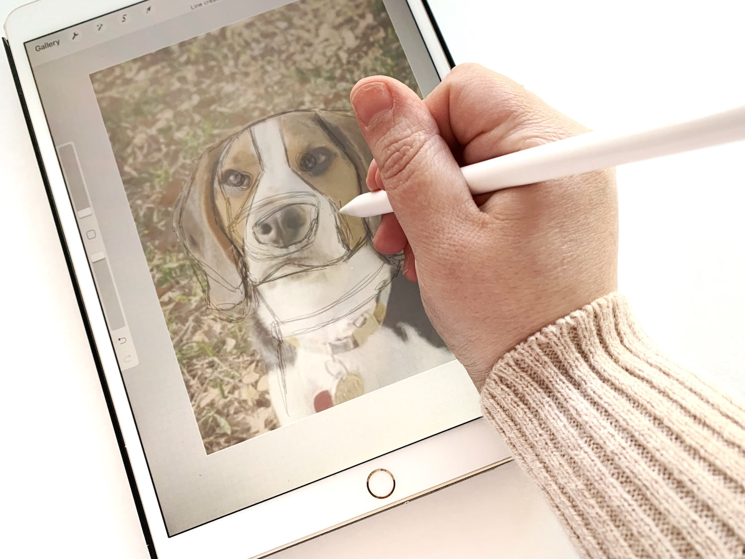 Tracing dog photo in procreate to create layered paper dog portrait