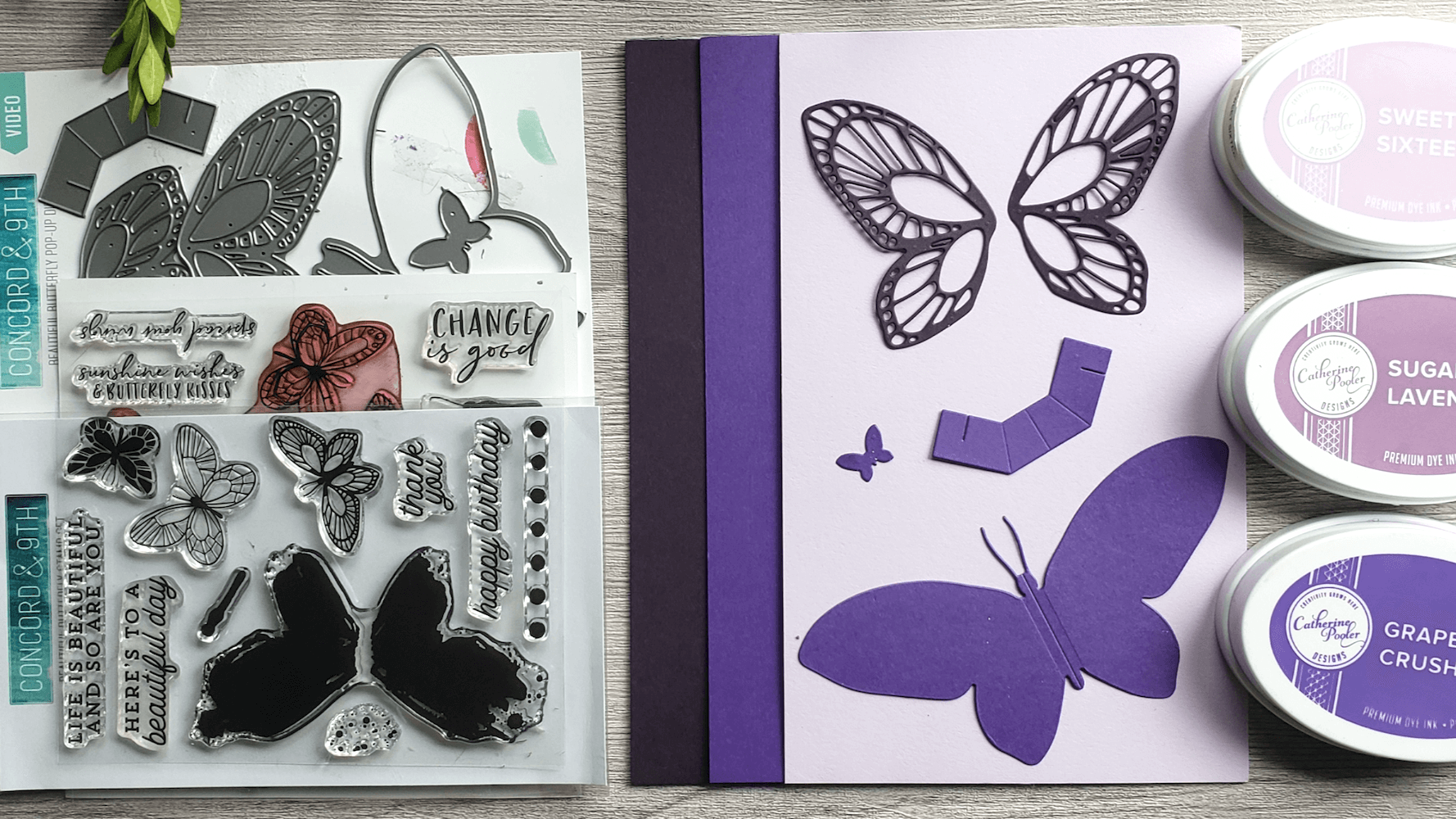 Butterflies & Buttercups Pop-Up Greeting Card