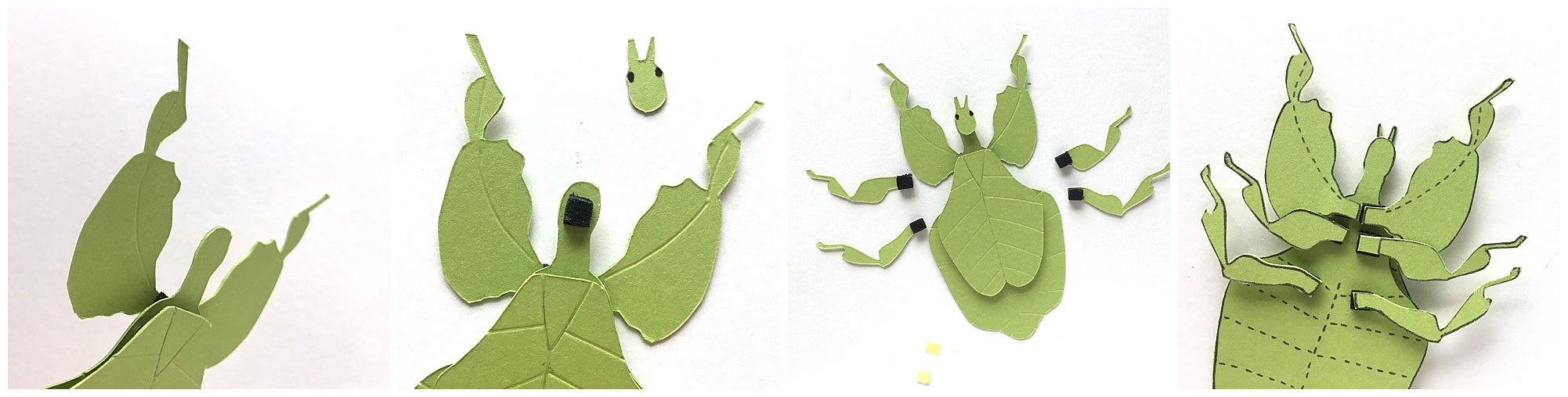 Cardstock Leaf Insect Paper Sculpture Assembly