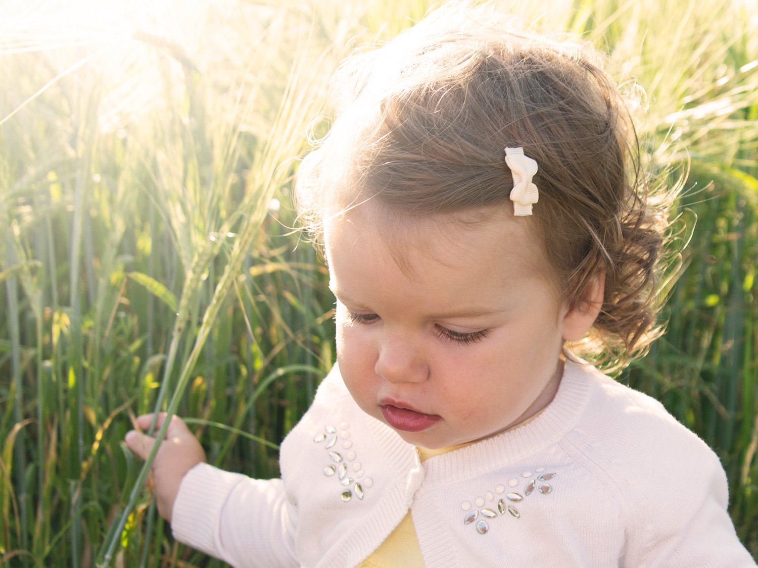 small bow clips for babies