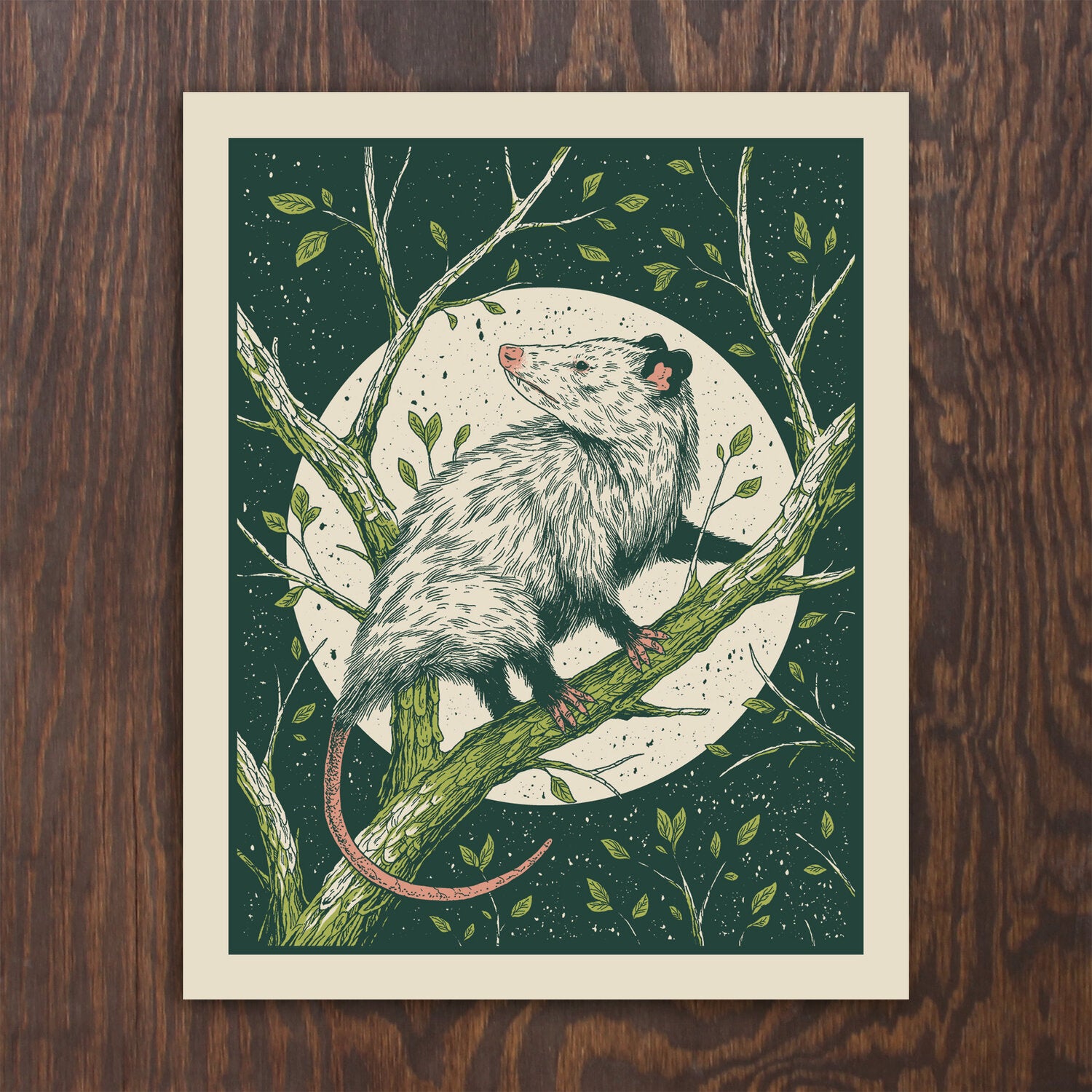 Opossum Screen Print