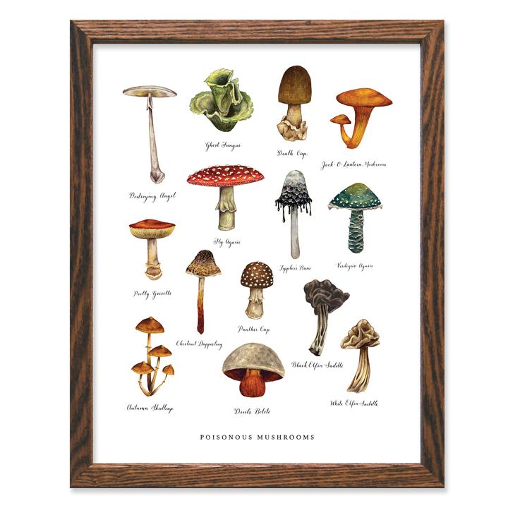 Poisonous Mushroom Print