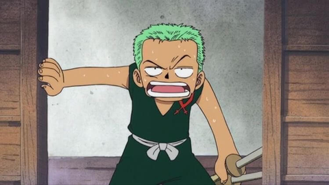 Zoro's Past 