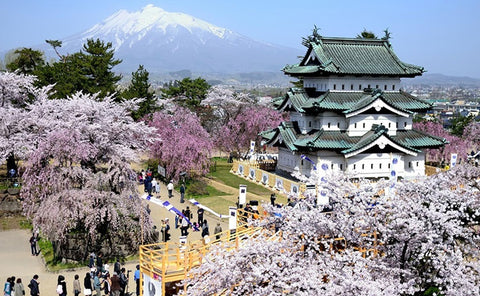 A view of the Hirosaki Castle on cherry blossom festival in Hirosaki Park, Aomori.