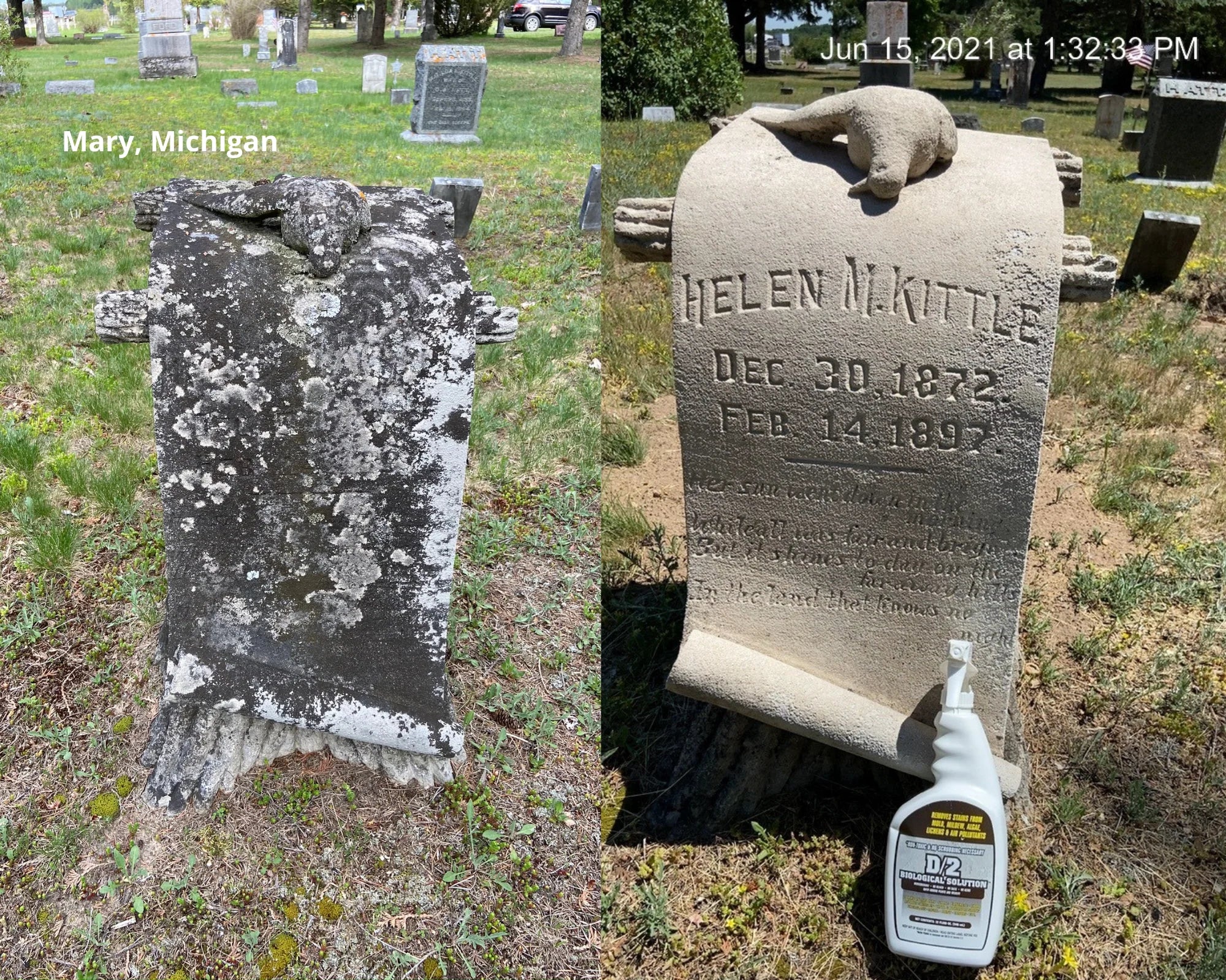 2021 contest 2.webp__PID:e91a120f-e7d3-4a11-ab83-420aa5f06ed6