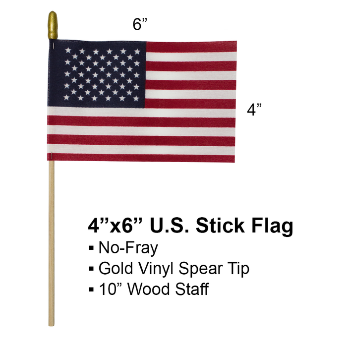 American Flag - 6