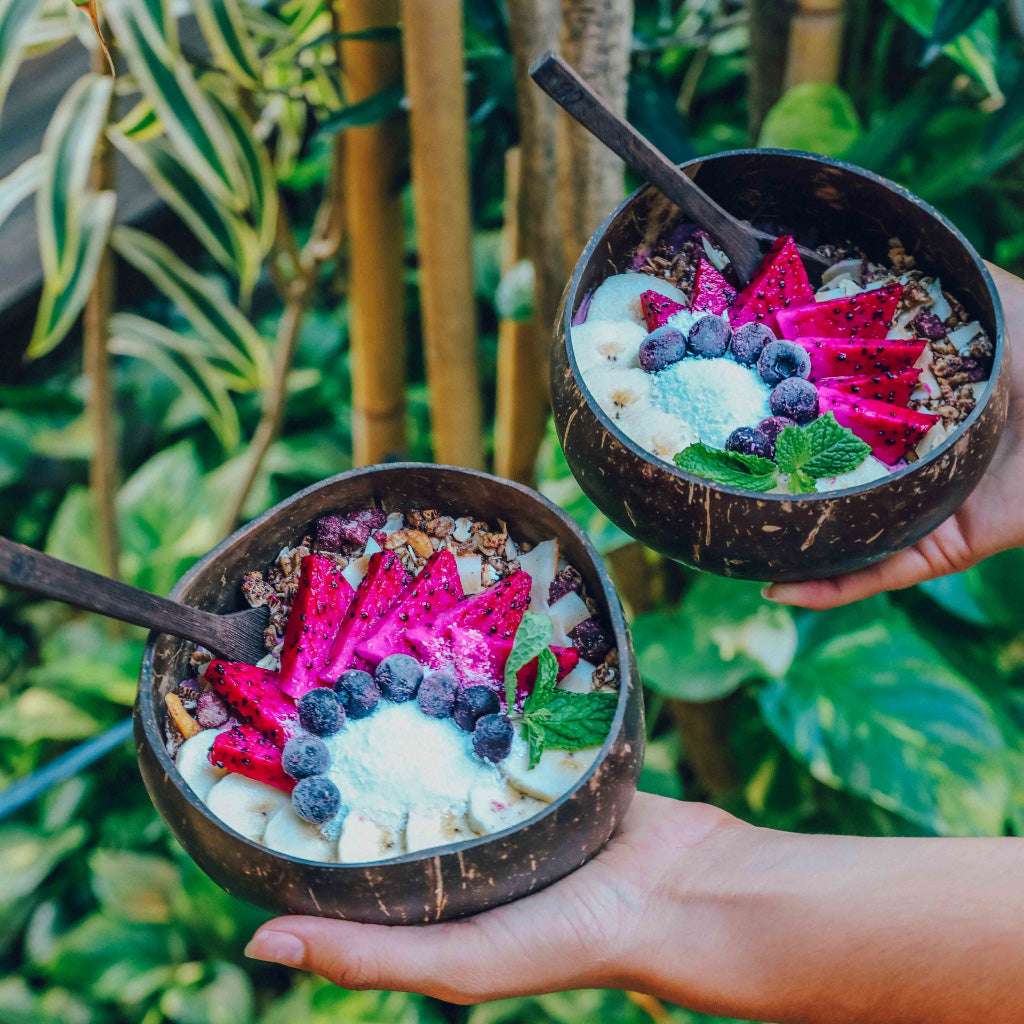 Bali Berry Bowls Coconut Bowls