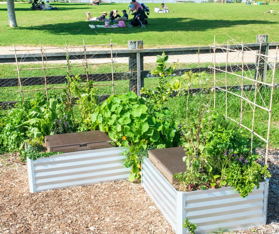 Composting with supbod and coconut bowls