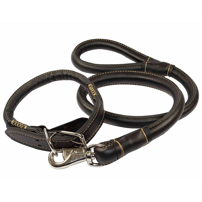 large breed dog leash