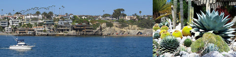 The Hottest Cali Winter Getaways - Corona del Mar