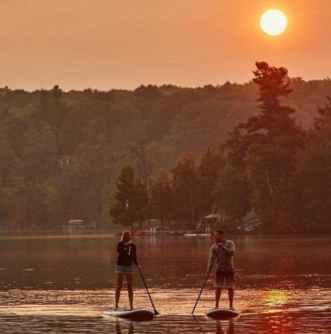Stand up paddle boarders paddling at sunset