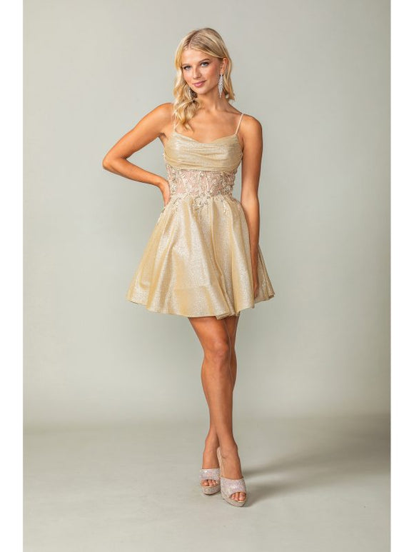 Dancing Queen Evening Gowns 3386