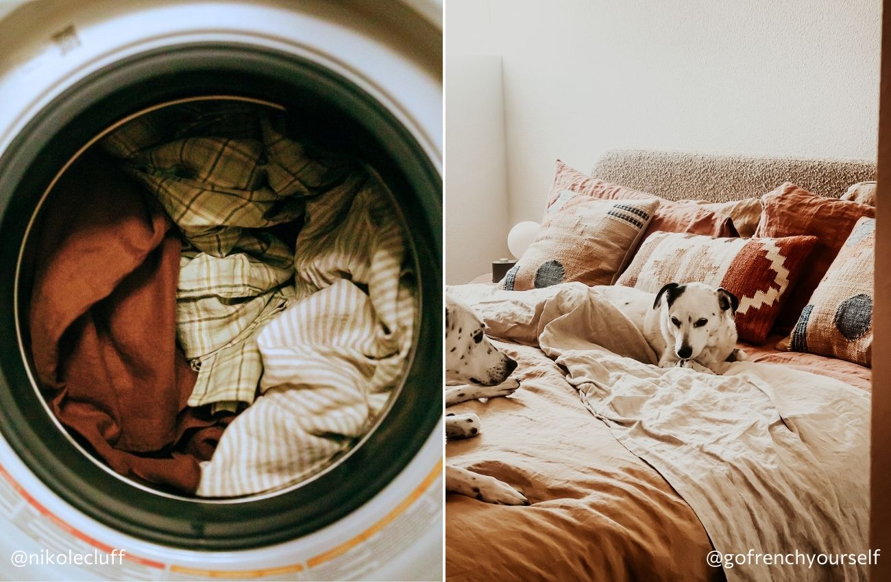 Left: Washing machine drum window with Piglet in Bed bedding. Right: Small black and white dog nestled on top of Clay coloured Piglet in Bed bedding
