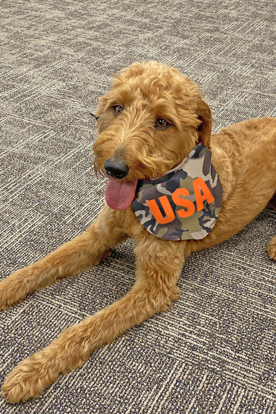 camouflage dog bandana