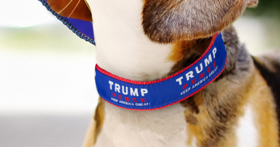 Official Trump Pence Dog Collar Trump Make America Great Again Committee   Collar SEO 900x900 