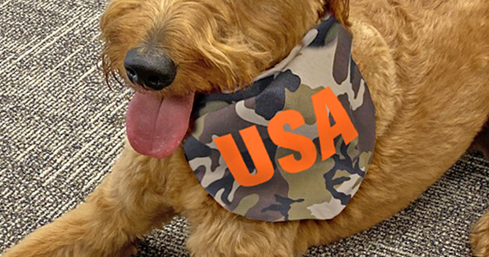 usa dog bandana