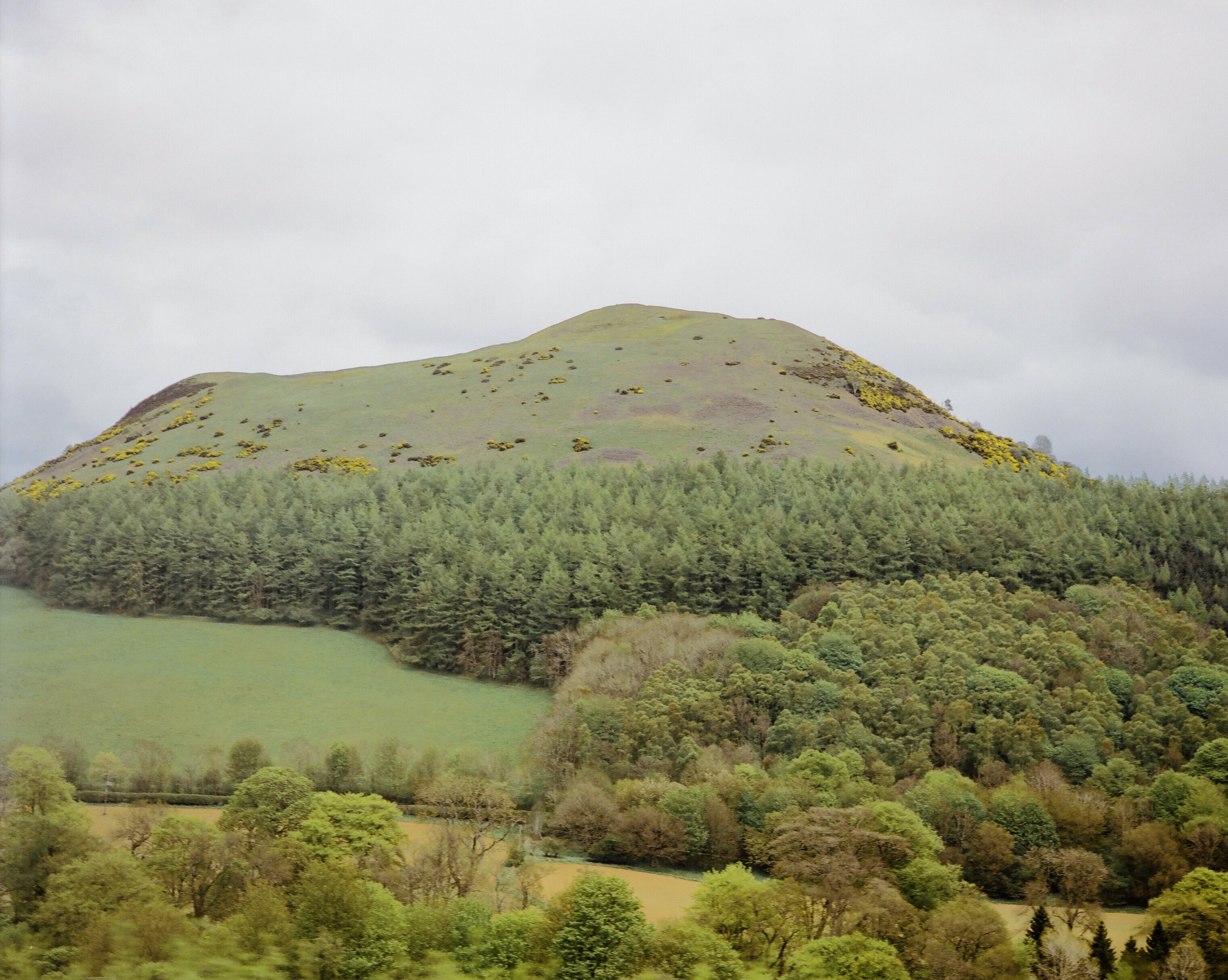 Hawick Hills