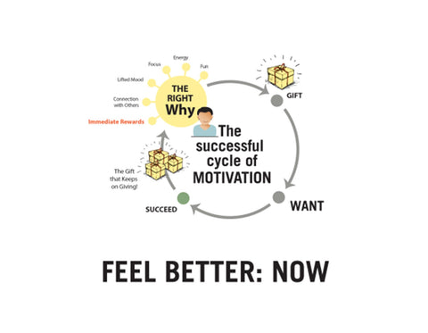 Dr. Michelle Segar cycle of motivation