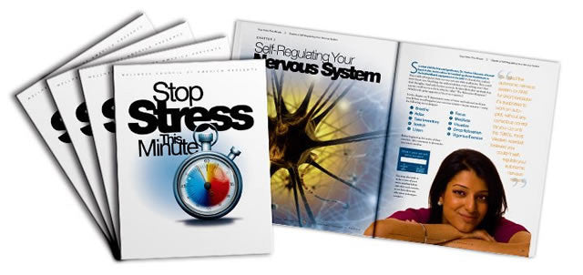 Stop Stress This Minute Book