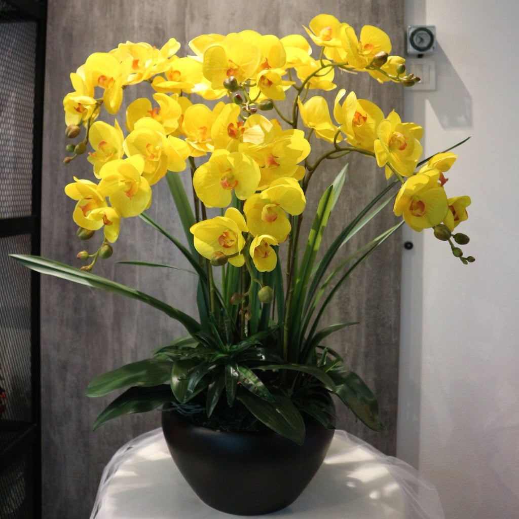 Premium Quality Large Artificial Orchid Flowers (6 Stalks ...