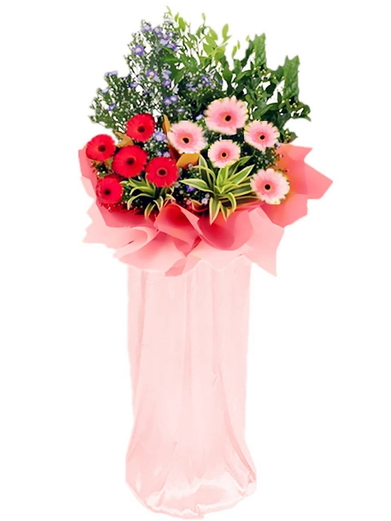 Red & Pink Fresh Gerbera Grand Opening Flower Stand | Giftr - Malaysia's  Leading Online Gift Shop