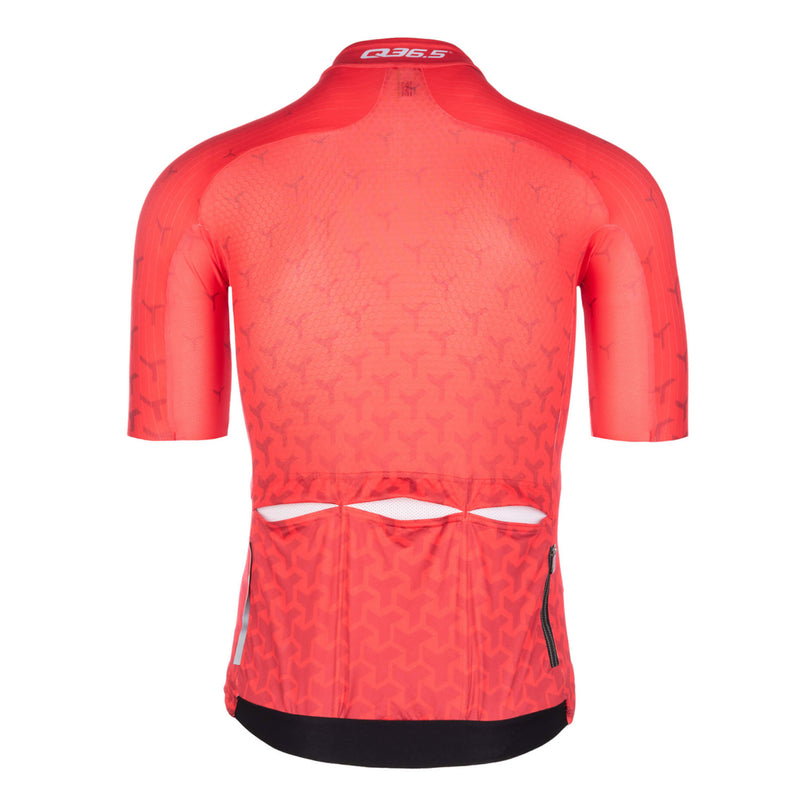 Q36.5 Pro Cycling Team Short Sleeve Jersey • Q36.5