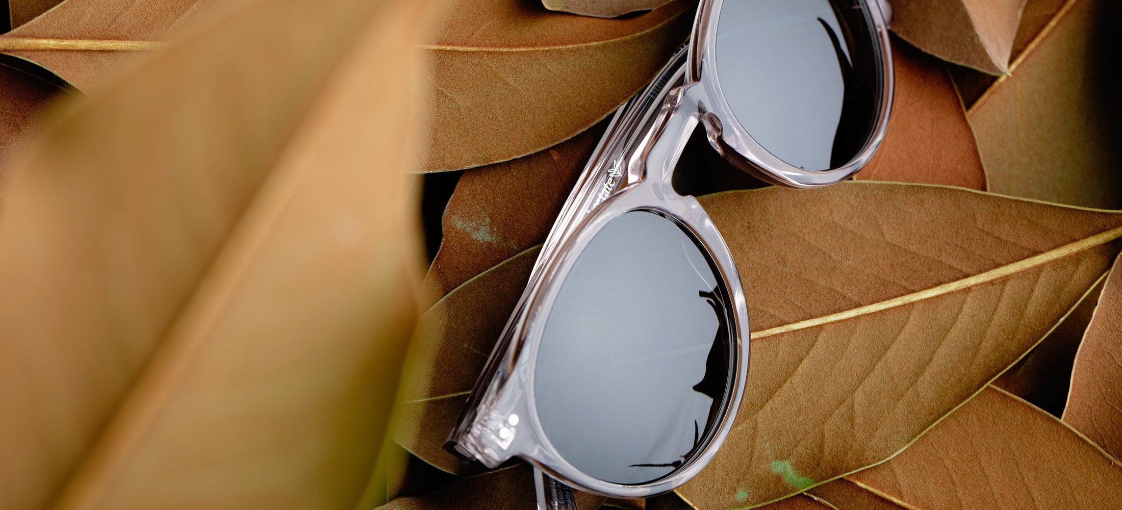 Polarized Sunglasses - All You Need To Know - Mr. Woodini Eyewear