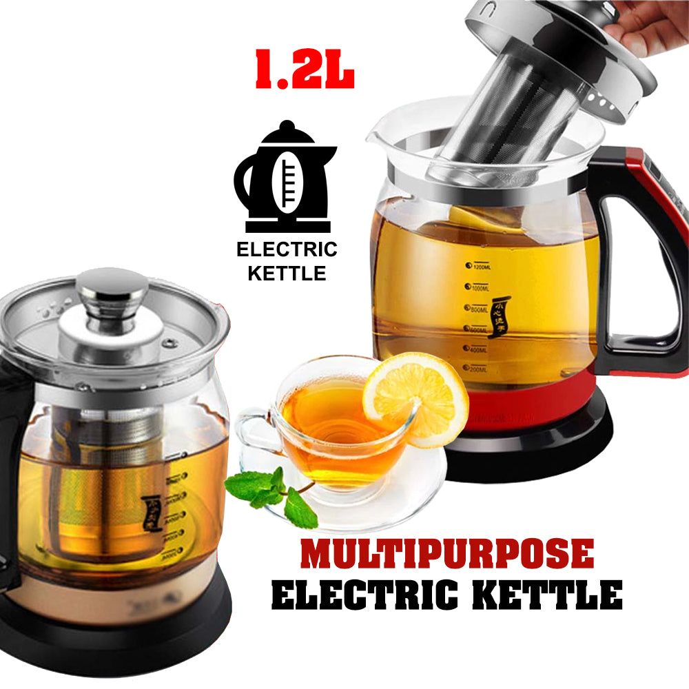electric multipurpose kettle