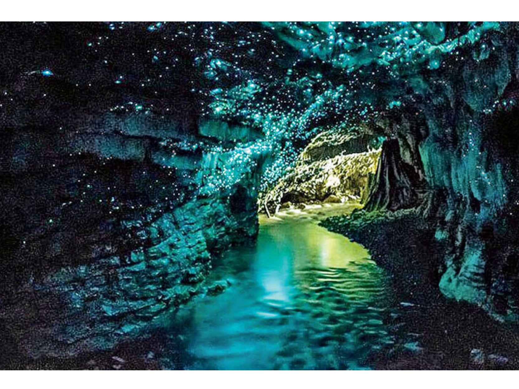 Waitomo caves