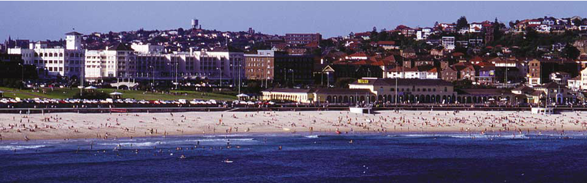 Panorama of Bondi by Diane Brand, 1993