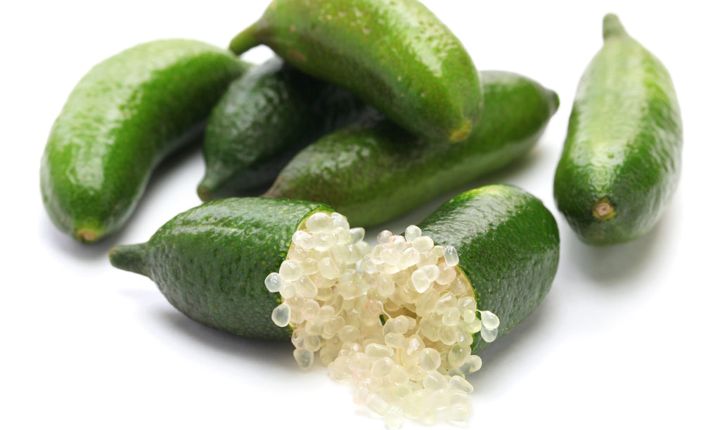 Finger Lime