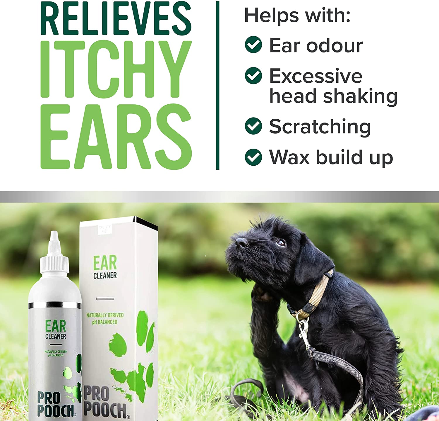 how to clean dogs waxy ears