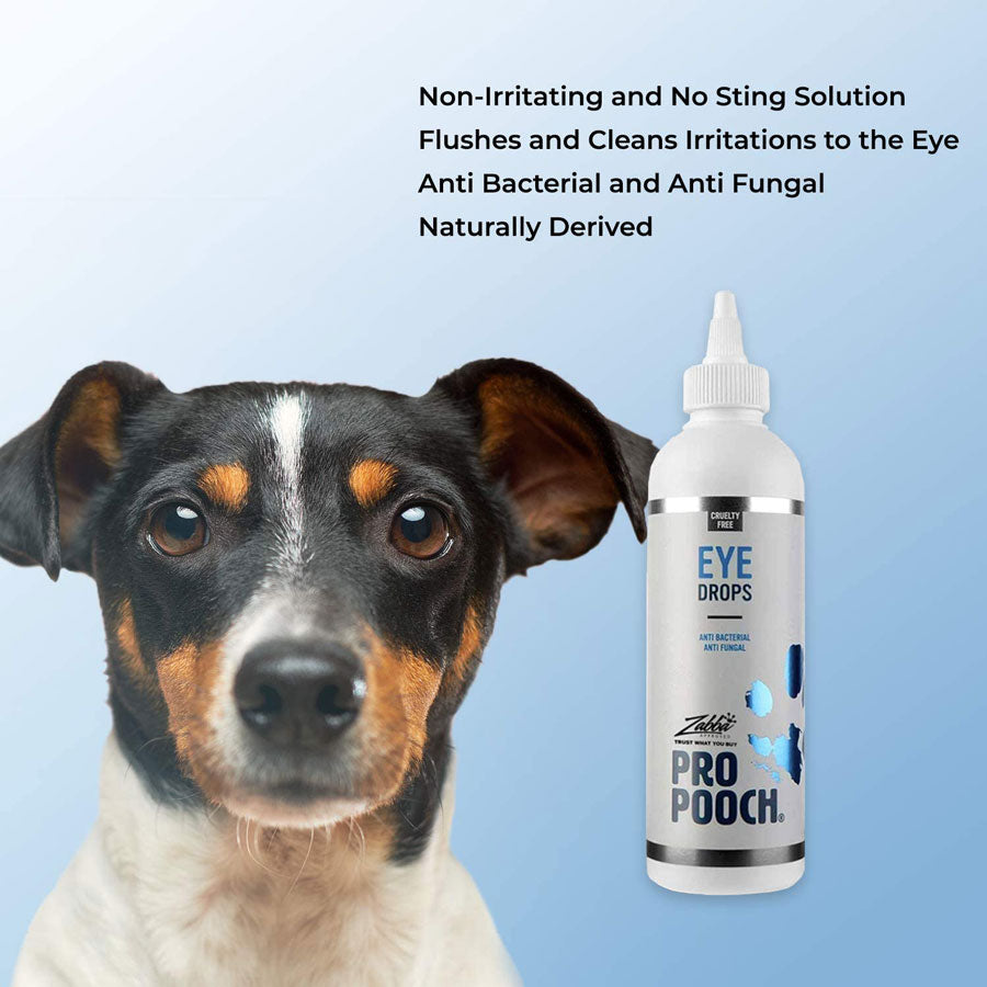 can i use regular eye drops on dogs