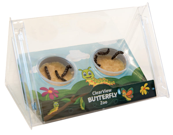 Live Butterfly Growing Kits