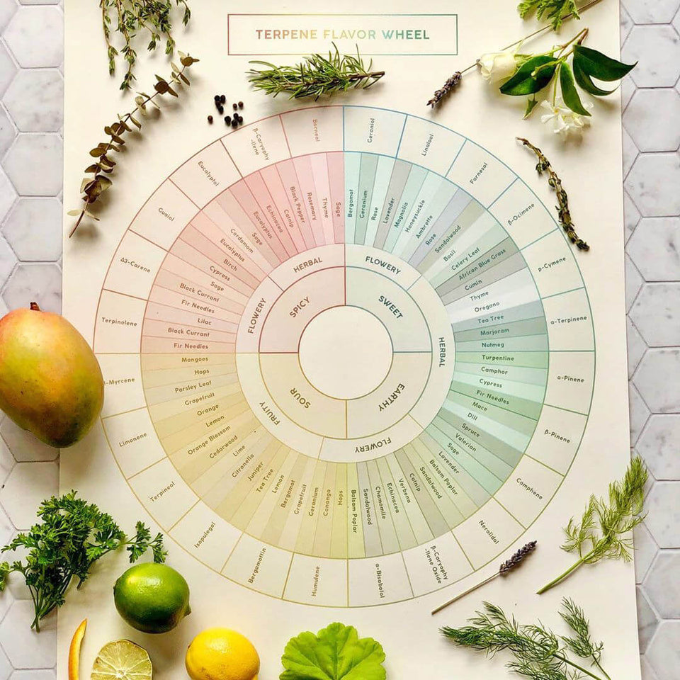 Terpene Boiling Point Chart