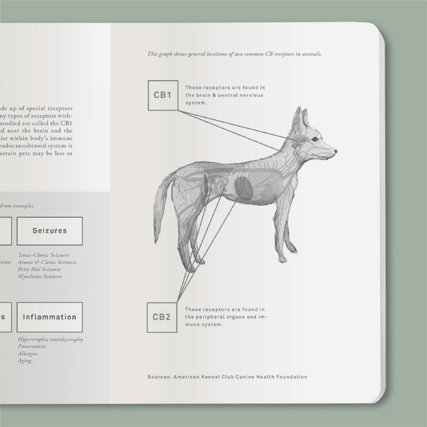 Graph depicting general locations of two common CBD receptors in a dog | CBD Pet Jotter