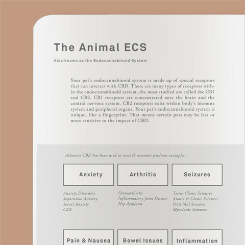 Journal page illustrating the animal endocannabinoid system: Understanding the intricate network of cannabinoid receptors and signaling pathways in animals.