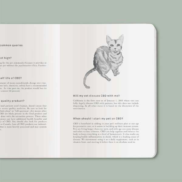 Journal page from our CBD Pet Jotter with an image of a curious cat looking at the reader