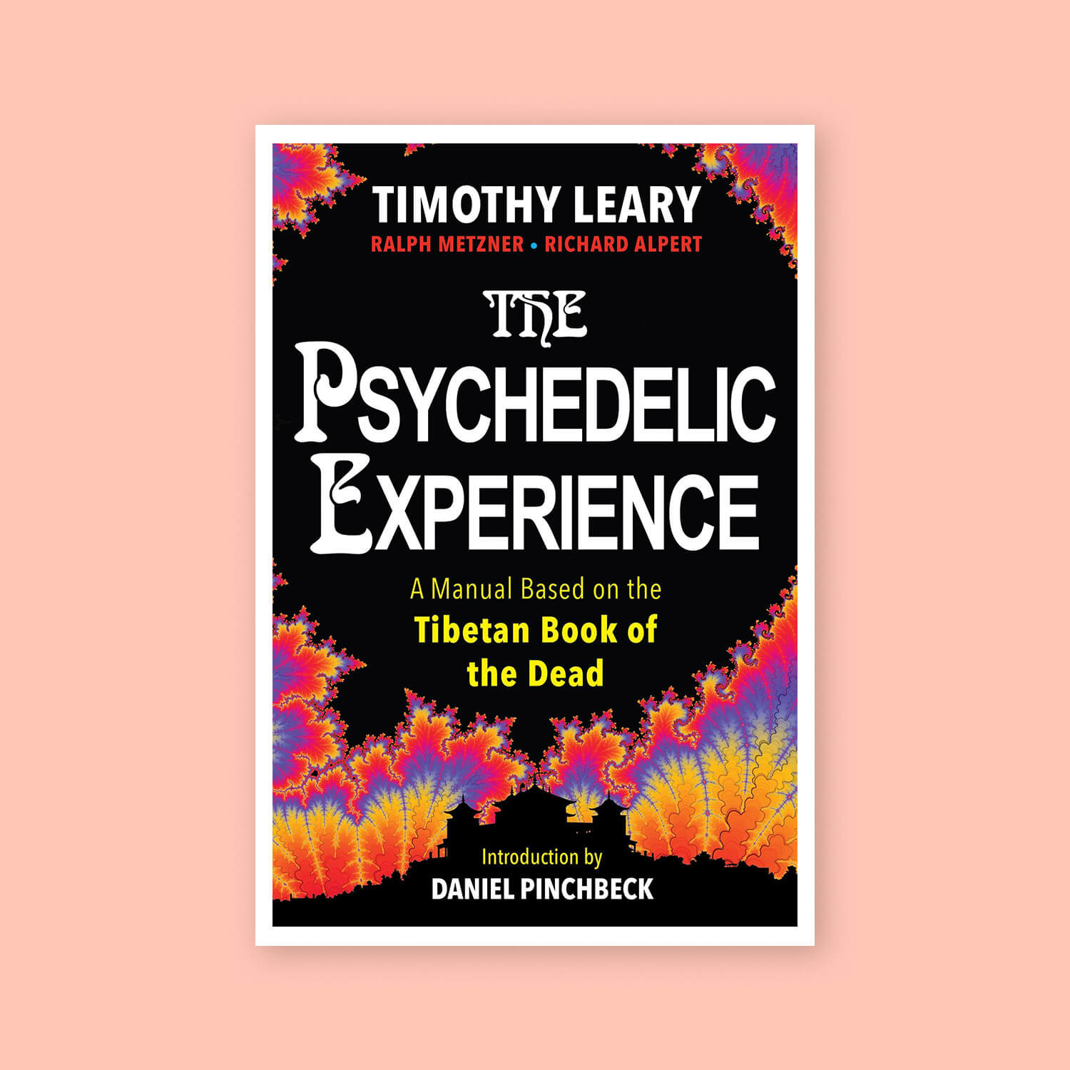 the Psychedelic Experience