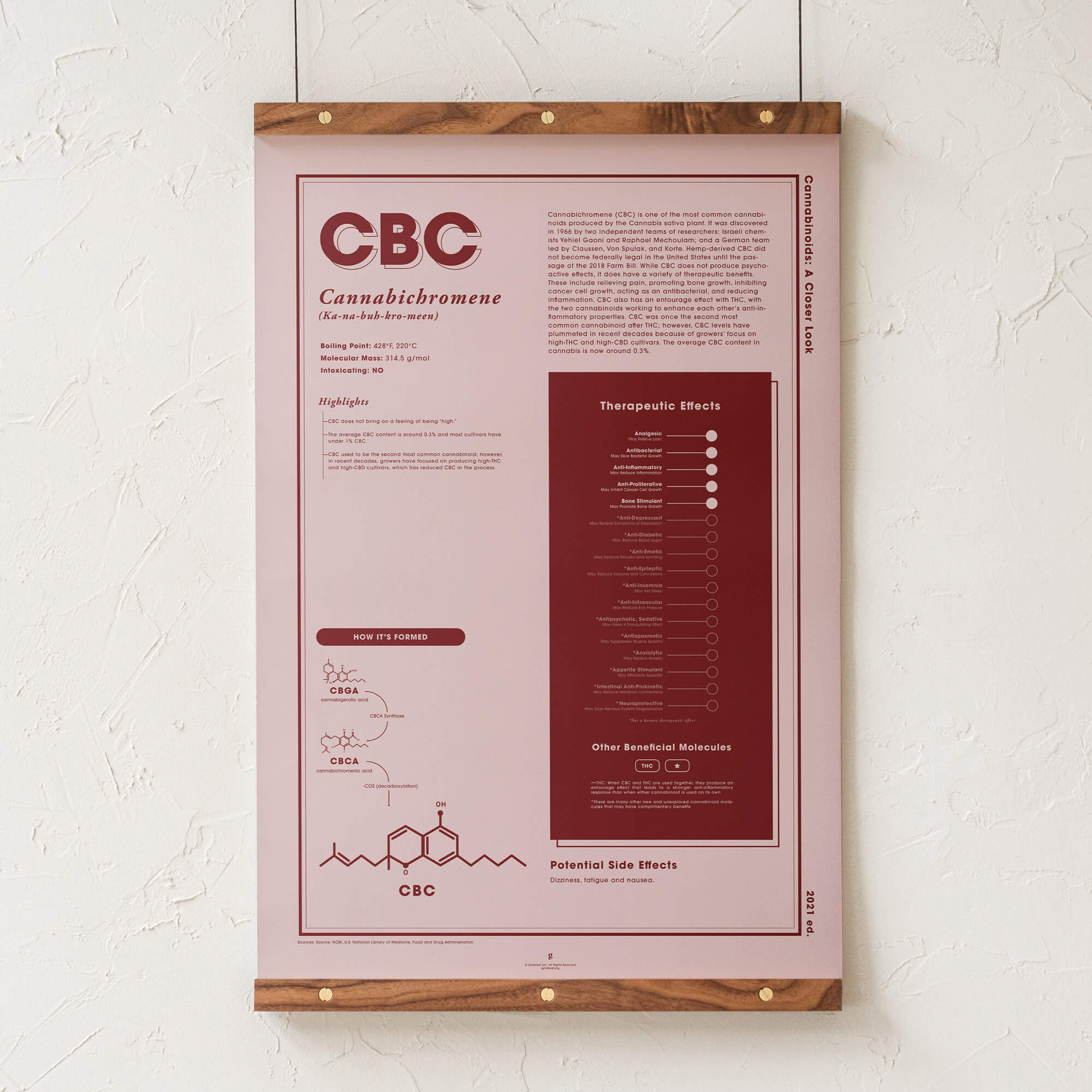 CBC: A Closer Look Infographic Art Print by Goldleaf