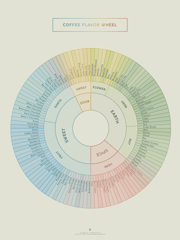 Coffee Flavor Wheel Print by Goldleaf