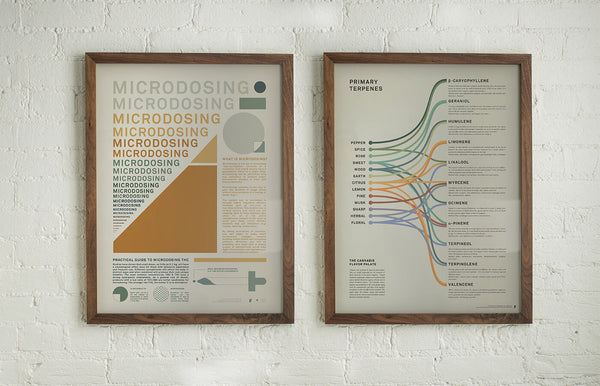 Goldleafs Educational and Science-Forward Inforgraphic Prints