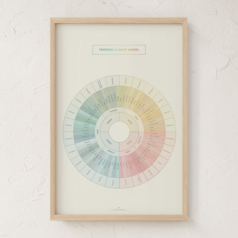 Terpene Flavor Wheel diagram with natural frame