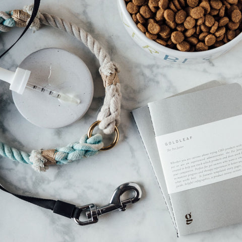 CBD oil in a 1ml dropper next to a Pet CBD Planner made by Goldleaf and a dog leash  wrapped around next to a bowl of dog food.