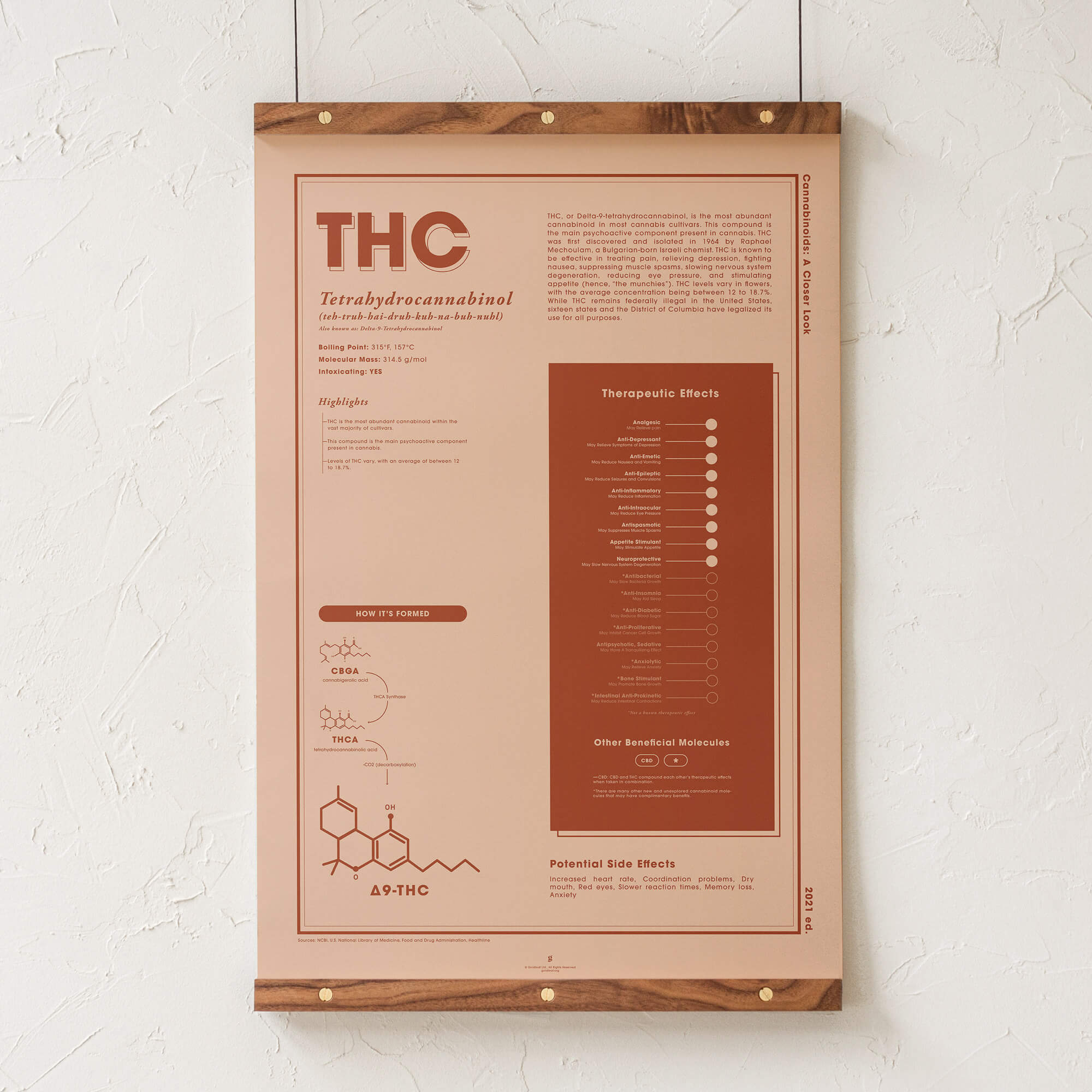 THC: A Closer Look - Infographic Art Print