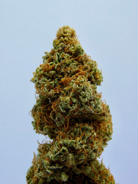 cannabis strains and cannabinoid profiles